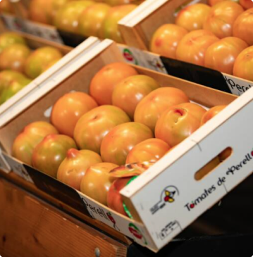Los primeros 50kg de la temporada de tomate de El Perelló, adjudicados en una subasta benéfica