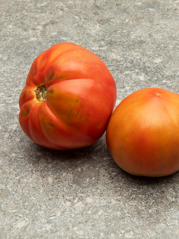 tomate-valenciano